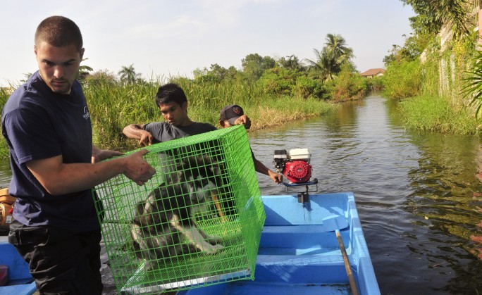 ThaiRadder3