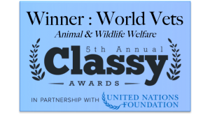 classy winner