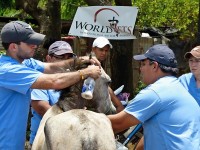 Equine Health Clinic