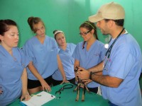 Students are taught the head to tail physical exam