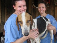 World Vets Rural SJDS Campaign
