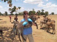 Dr. Dana Bridges World Vets Donkey Project Tanzania