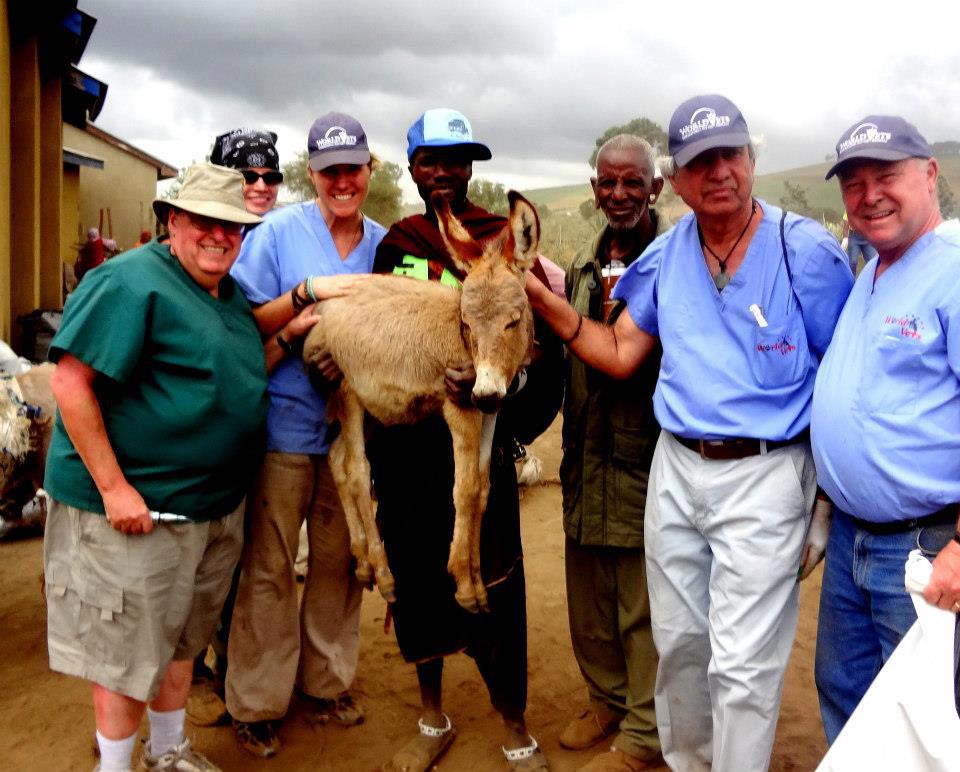 donkey World Vets Our mission is to improve the health and well