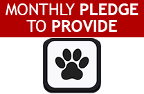 Provide Pledge