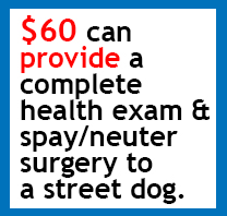 provide