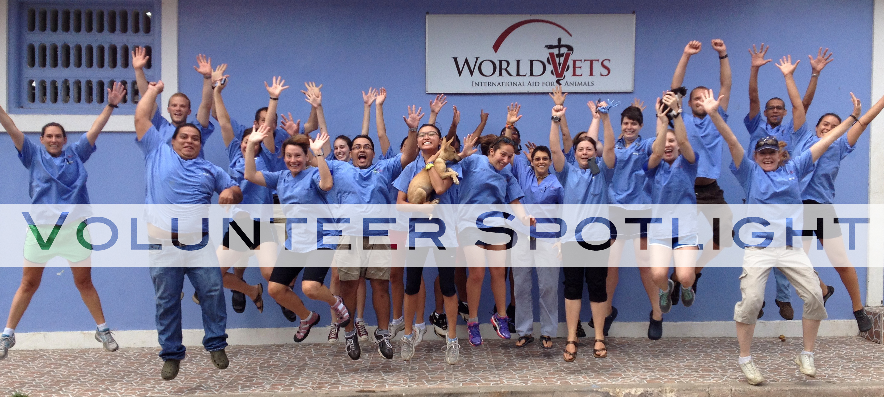 volunteer spotlight