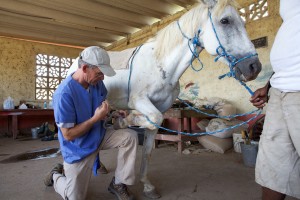 WorldVets Equine 3 2011