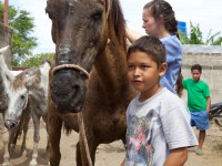 World Vets Equine Welfare Project, Nicaragua
