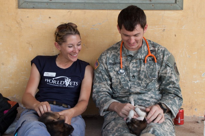 Recruiting Veterinary Team! Pacific Partnership 2020