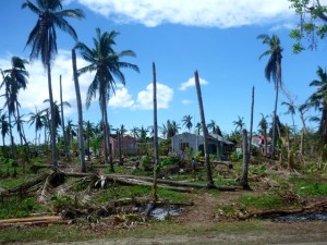 Farm in Daanbantayan  (Northern Cebu) damaged by the Typhoon.