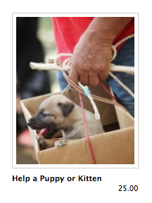 Help Puppy