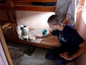 World Vets Disaster Team member, Dr. Springer Browne, says hello and examines a dog in Tacloban City.