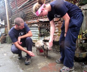 World Vets disaster team, Dr. Springer Browne (left) and Dr. Helle Hydeskov (right) say hello to a piglet that survived the storm in Tacloban City.