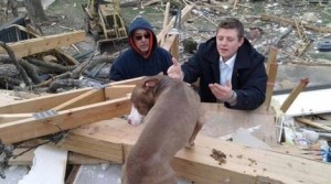 Dexter being rescued