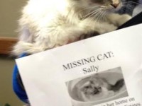 Sally was found!