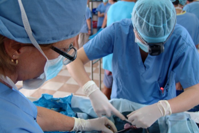 World Vets is Now Offering Personalized Surgical Training
