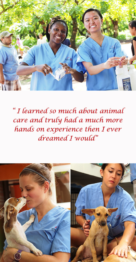 MORE ABOUT ASSISTANT POSITIONS World Vets to improve the quality of life of animals, people