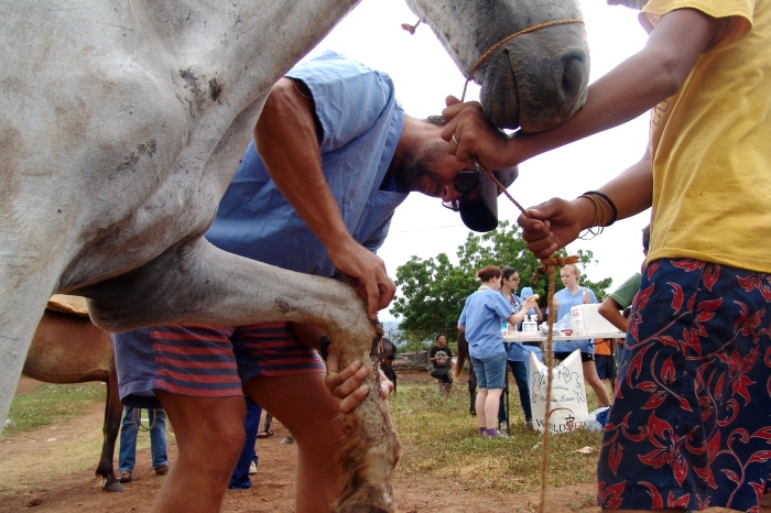 Week Long Equine Welfare Clinics Finish up in Nicaragua