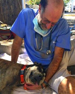 Dr. Mike Henes with Marley after surgery