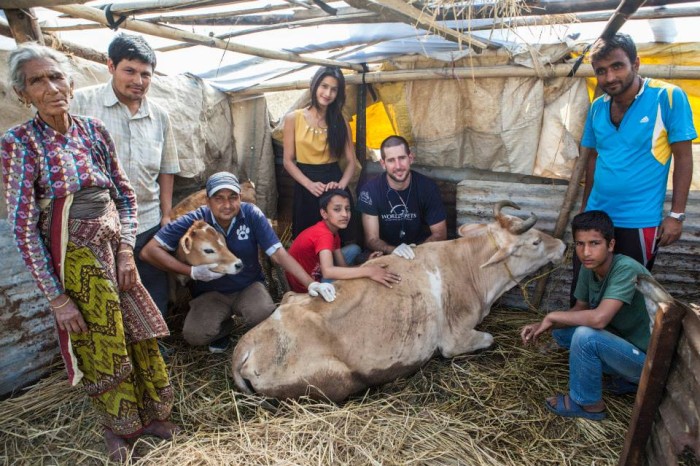 World Vets Responds to Nepal Earthquake: Animal Rescue Updates