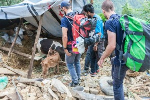 nepal6