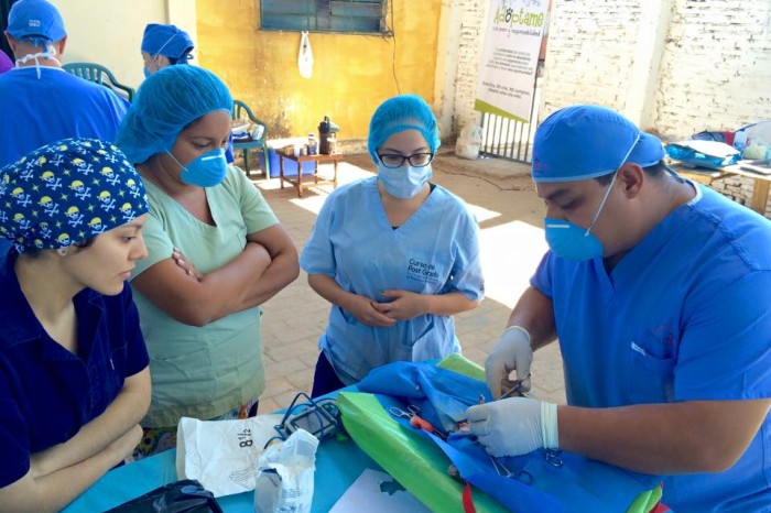 World Vets provides Surgical Training for Vets in Paraguay
