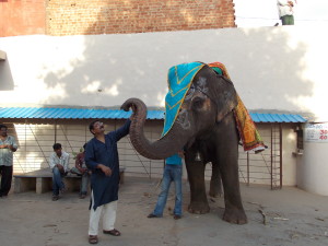 india10