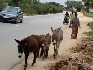 india14