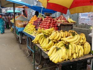india17