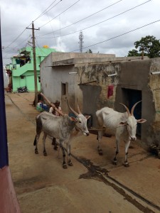 india3