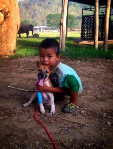 Thaiboypup