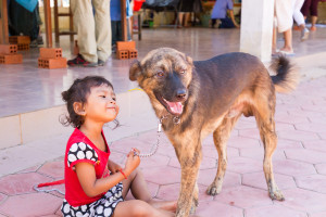 WorldVets Siem Reap Clinic