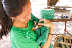 WorldVets Siem Reap Clinic