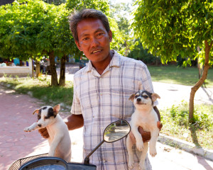 WorldVets Siem Reap Clinic