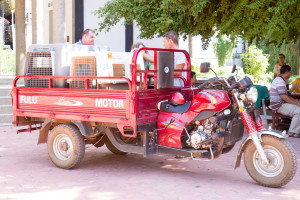 WorldVets Siem Reap Clinic