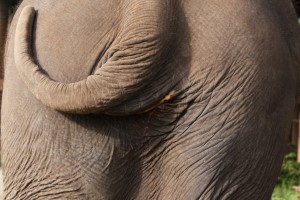 thumb_IMG_6551_1024