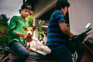 worldvets_2016_cambodia_11