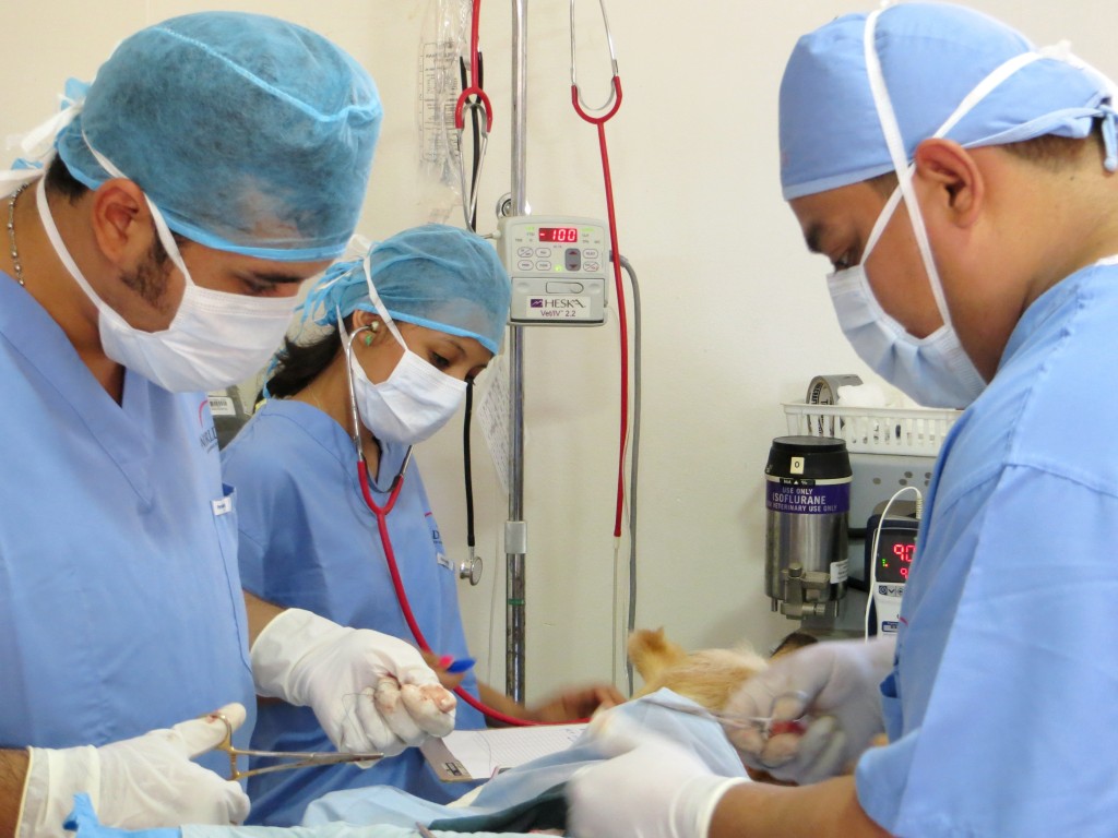 A Facility Serving the Community & Beyond World Vets Latin America