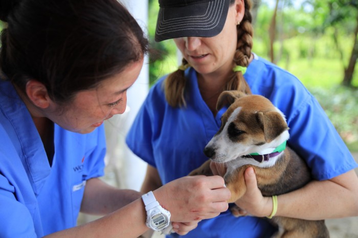 Limited Time “Deposit Option” Available on Veterinary Field Projects
