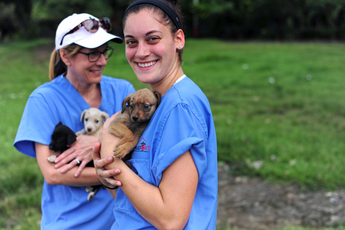 Intern with World Vets in Nicaragua | Summer 2018