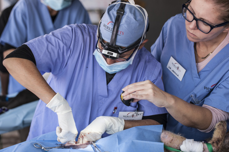 Kathmandu, Nepal World Vets to improve the quality of life of