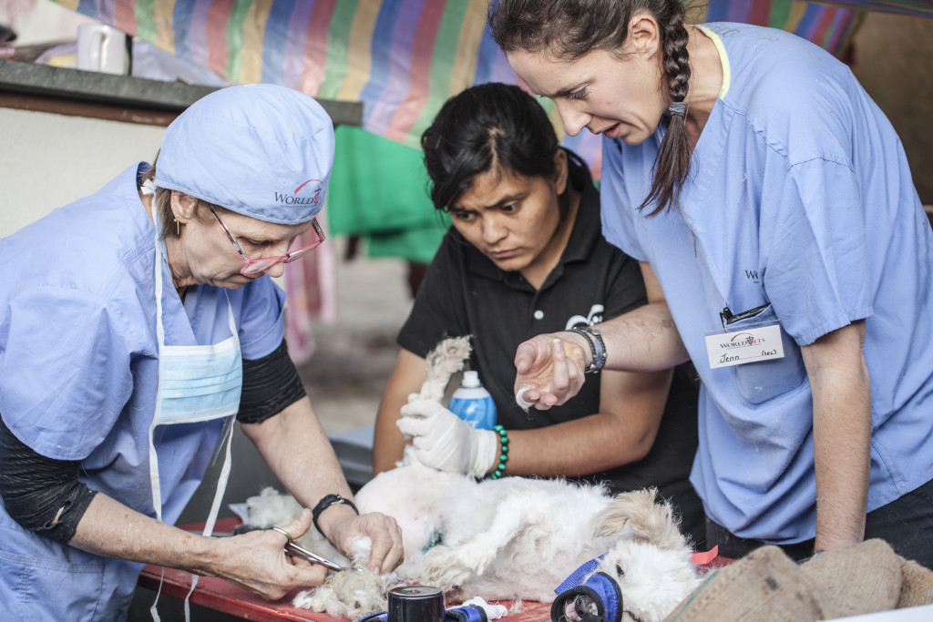 Kathmandu, Nepal World Vets to improve the quality of life of