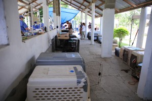 6S7A0245 (Large)