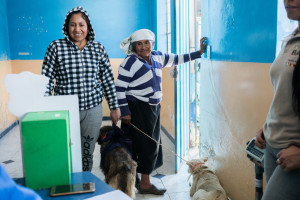 WorldVets in Imbabura, Ecuador
