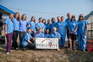 worldvet33