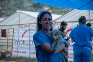 worldvet50