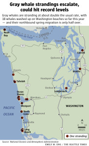 Source:National Oceanic and Atmospheric Administration; Emily M. Eng, The Seattle Times