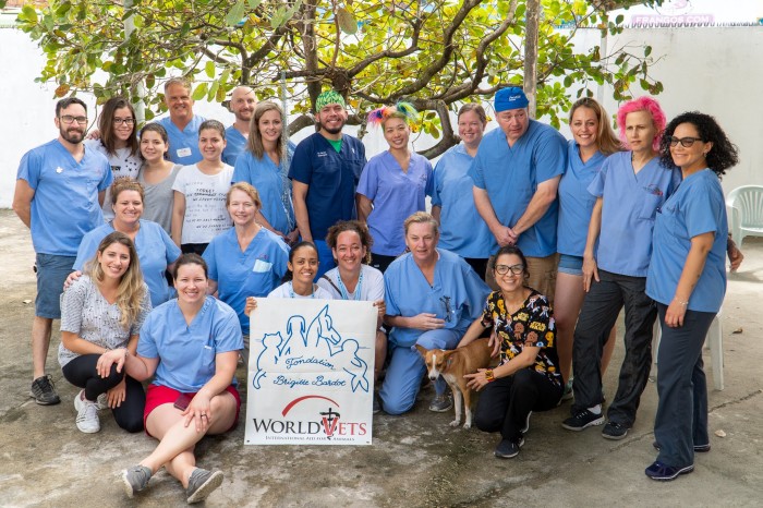 Busy in Brazil! Hundreds of Animals Receive Veterinary Care