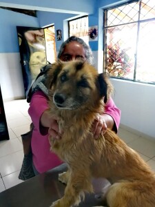 Treated for an abscess under the eye