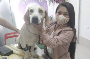 Treated for seizures from a toxin exposure